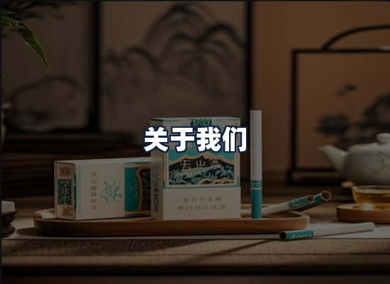 关于我们